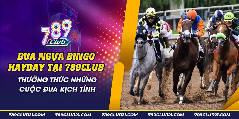 54 Dua ngua bingo hayday tai 789Club Thuong thuc nhung cuoc dua kich tinh